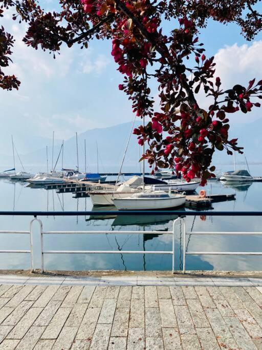 Casa Vacanze Il Pettirosso. Pisogne Exterior foto