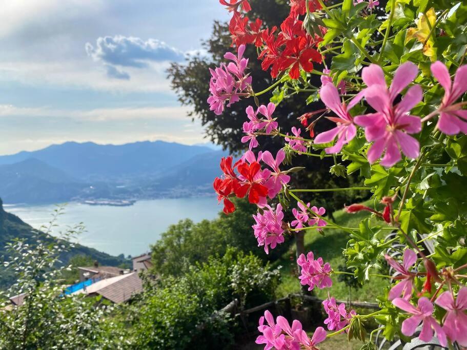 Casa Vacanze Il Pettirosso. Pisogne Exterior foto